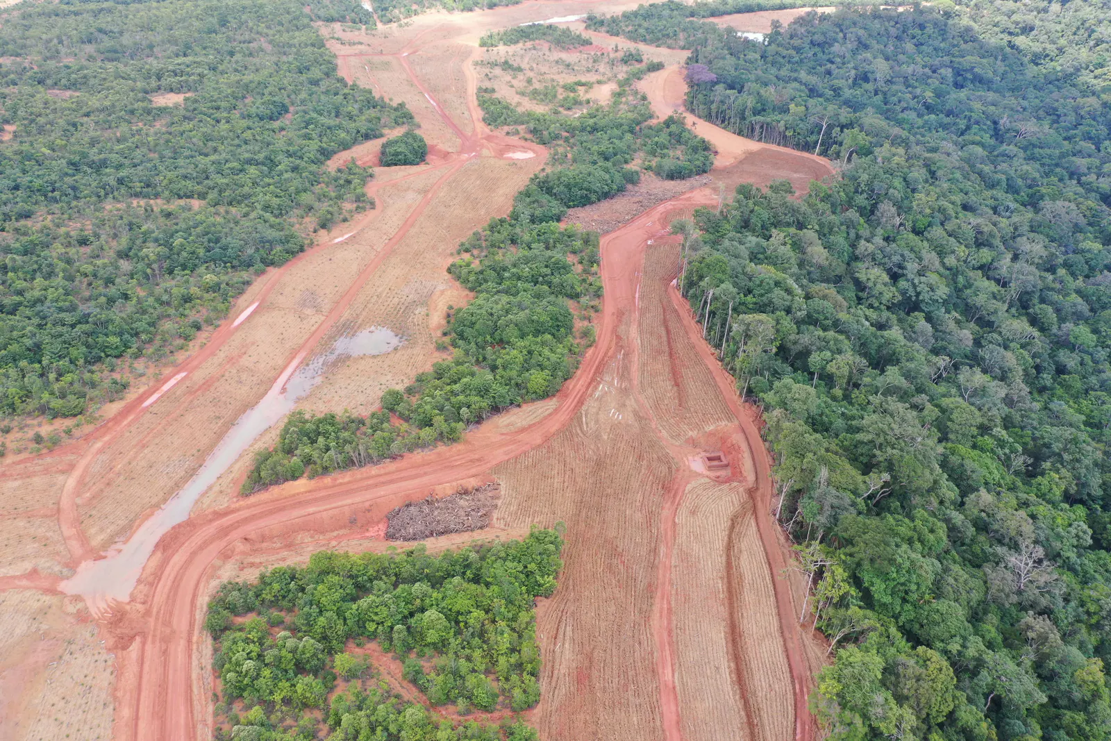 Vista aérea de estradas de terra abertas entre faixas de floresta